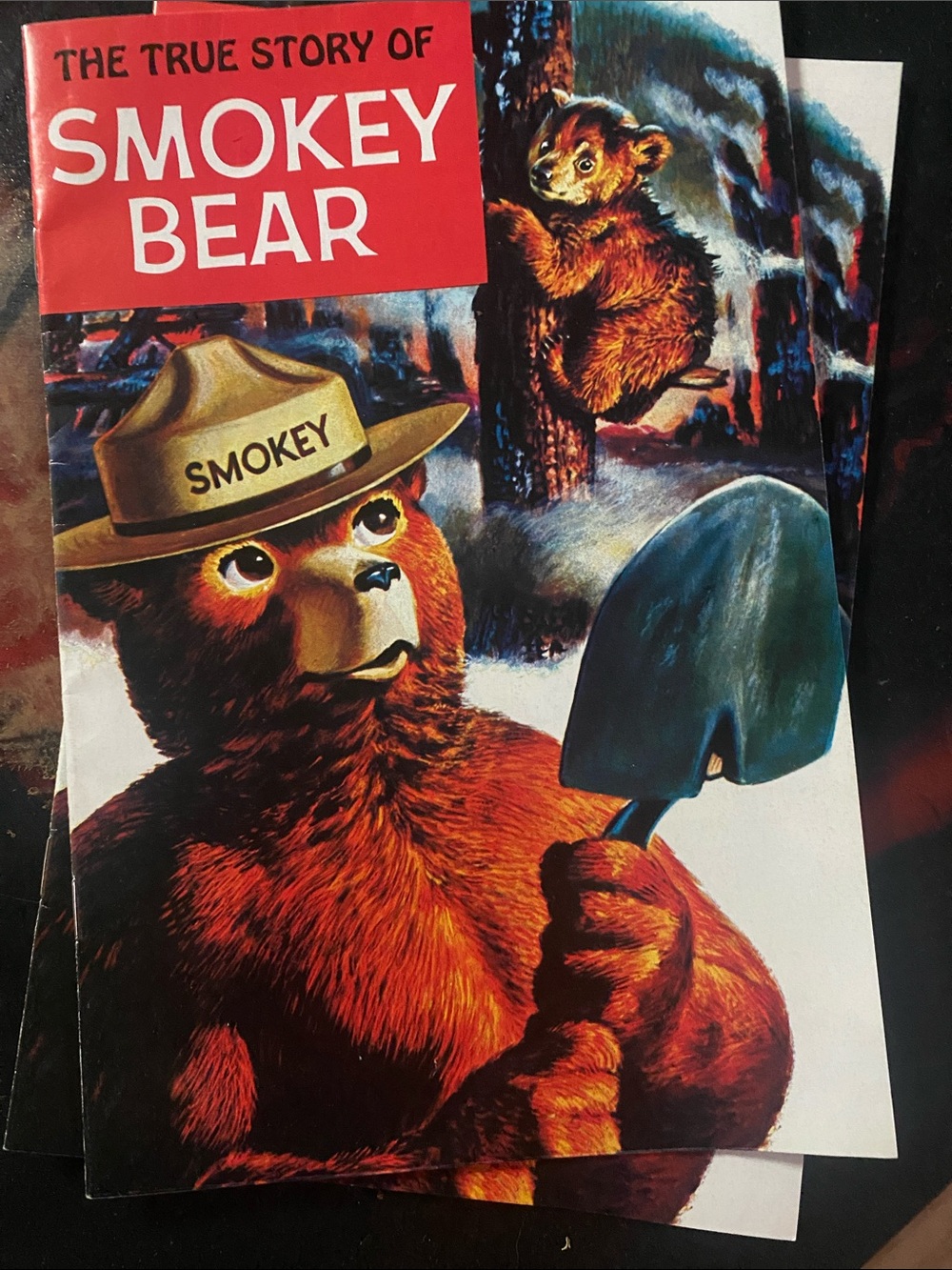 2 Vintage -The True Story of Smokey Bear Comic Book 1969